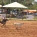 Vídeos e fotos: Prova do laço individual deu início as atividades deste domingo no 41º Rodeio Nacional de Campo Bom