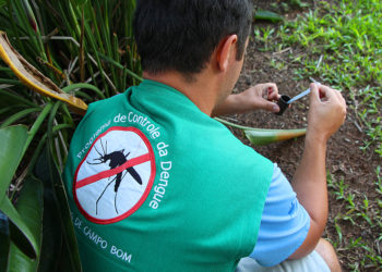 Municípios da região atuam constantemente no combate à proliferação do mosquito Aedes aegypti