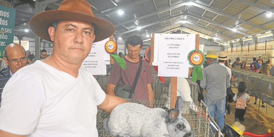 Criador de coelhos de Araricá é destaque na Expointer