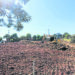 Campo Bom possui sequência de obras públicas em diferentes bairros