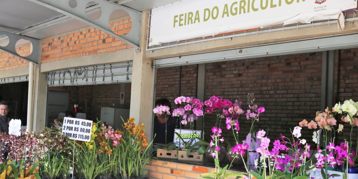 Campo Bom tem Feira do Agricultor, nos sábados