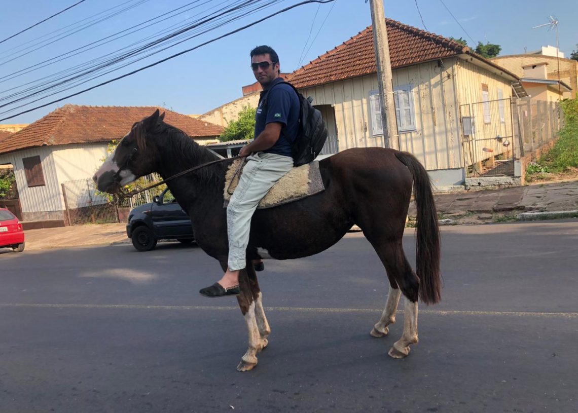 Delegacia de Sapiranga conseguiu  encontrar égua crioula que foi égua levada do proprietário. Foto: Polícia Civil.
