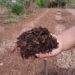 Campo Bom conta agora com Central de Compostagem Comunitária