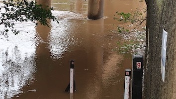 Nível do Rio dos Sinos segue baixando e afasta risco de enchente