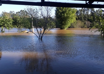 Defesas Civis de Campo Bom e Sapiranga mantêm o alerta para o nível do Rio dos Sinos