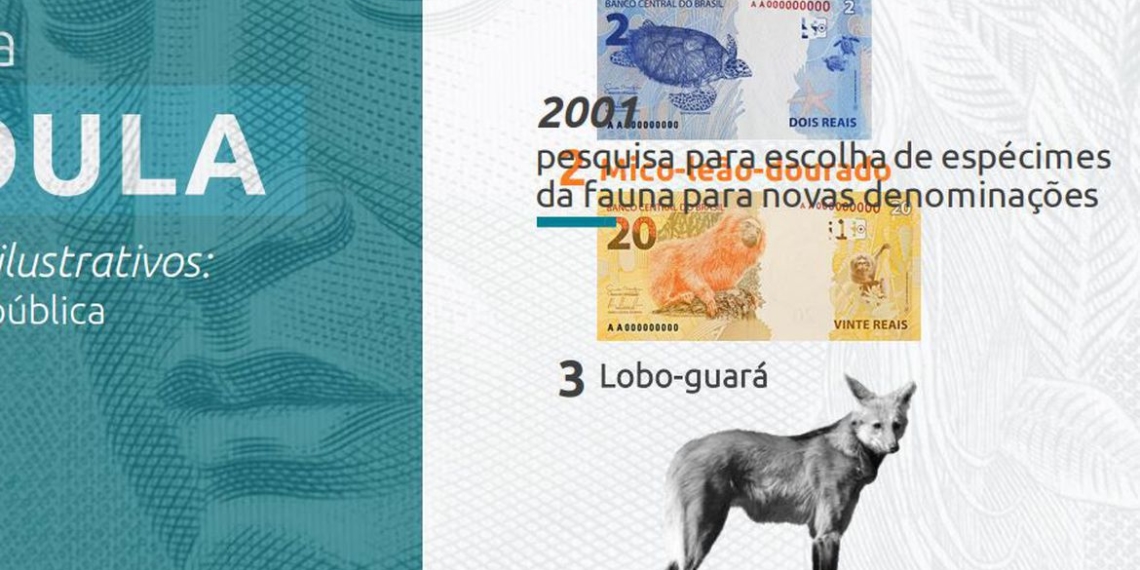 Cédula de R$ 200 entra em circulação nesta quarta-feira (2)