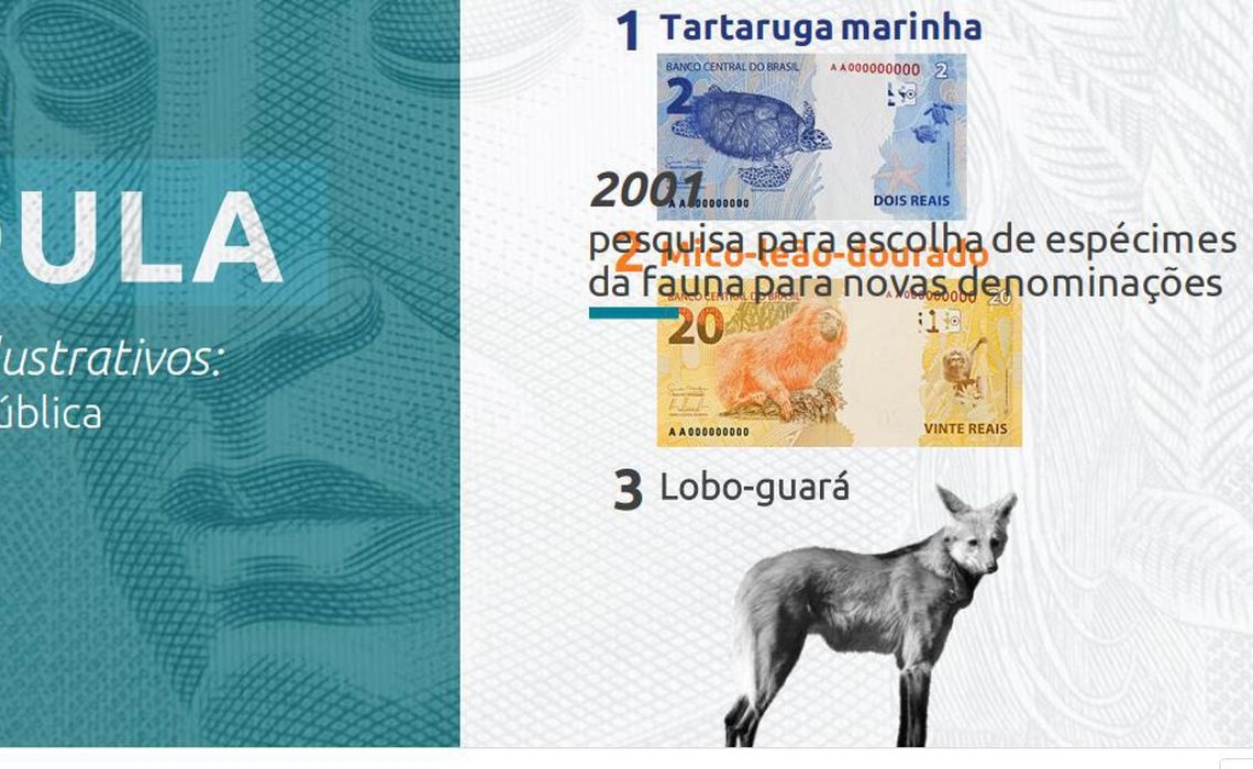 Foto: Divulgação Banco Central