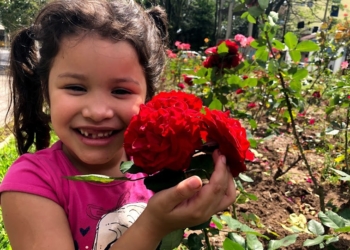 Julia Vitória, de cinco aninhos, se encontou com as flores e adorou ser clicada pertinho de uma das rosas Foto: Melissa Costa