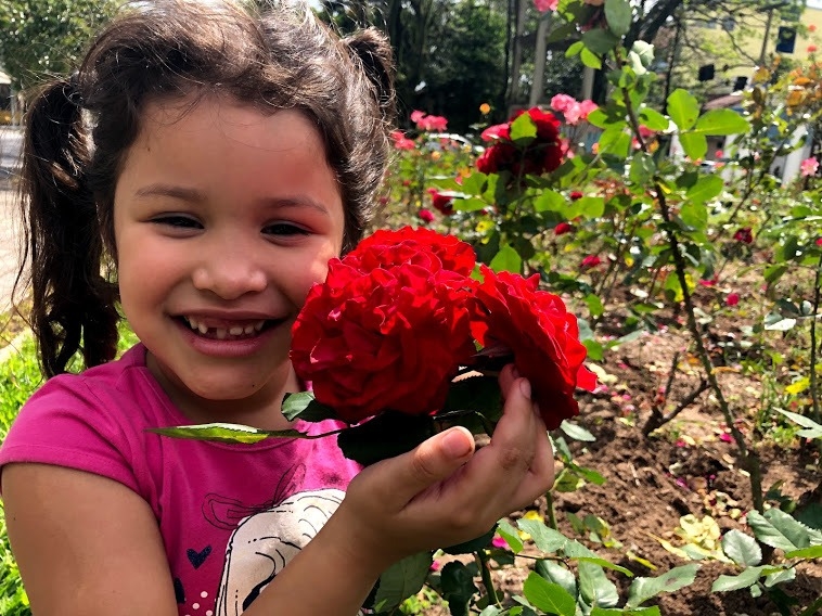 Julia Vitória, de cinco aninhos, se encontou com as flores e adorou ser clicada pertinho de uma das rosas Foto: Melissa Costa