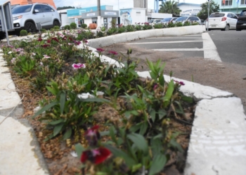 Flores decorativas ajudam a embelezar a área central do município
Fotos: Keila Massaia/Prefeitura de
Nova Hartz