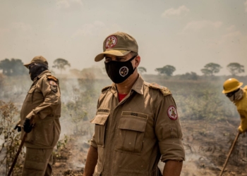 Ministros da Agricultura e Meio Ambiente irão ao Pantanal