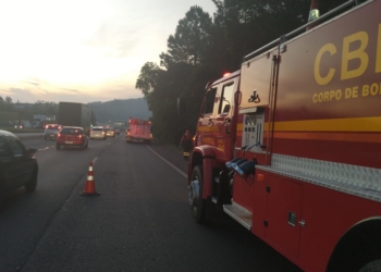 Incêndio na floresta às margens da RS-239 causa engarrafamento; veja vídeo