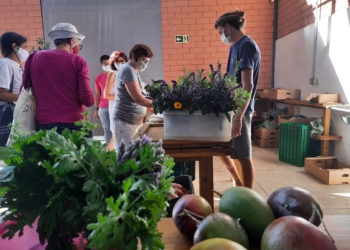 “Evitar agrotóxicos, cuidar da terra, é algo que temos no DNA”