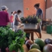 “Evitar agrotóxicos, cuidar da terra, é algo que temos no DNA”