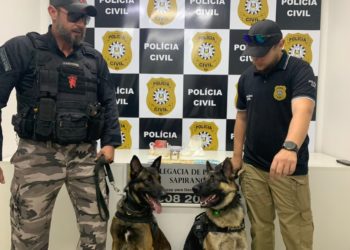 Cães auxiliaram na localização da droga  
(Foto: Polícia Civil)