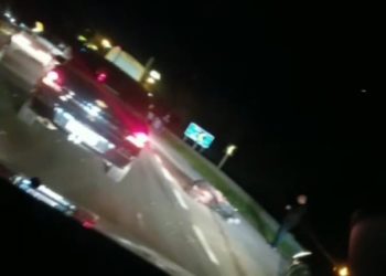 Cavalo solto no trecho de Parobé da RS-239 provoca acidente e deixa ferido