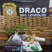 Polícia encontra 200 kg de maconha em Sapiranga e prende seis pessoas
