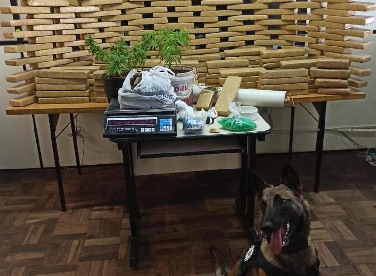 Polícia encontra 200 kg de maconha em Sapiranga e prende seis pessoas