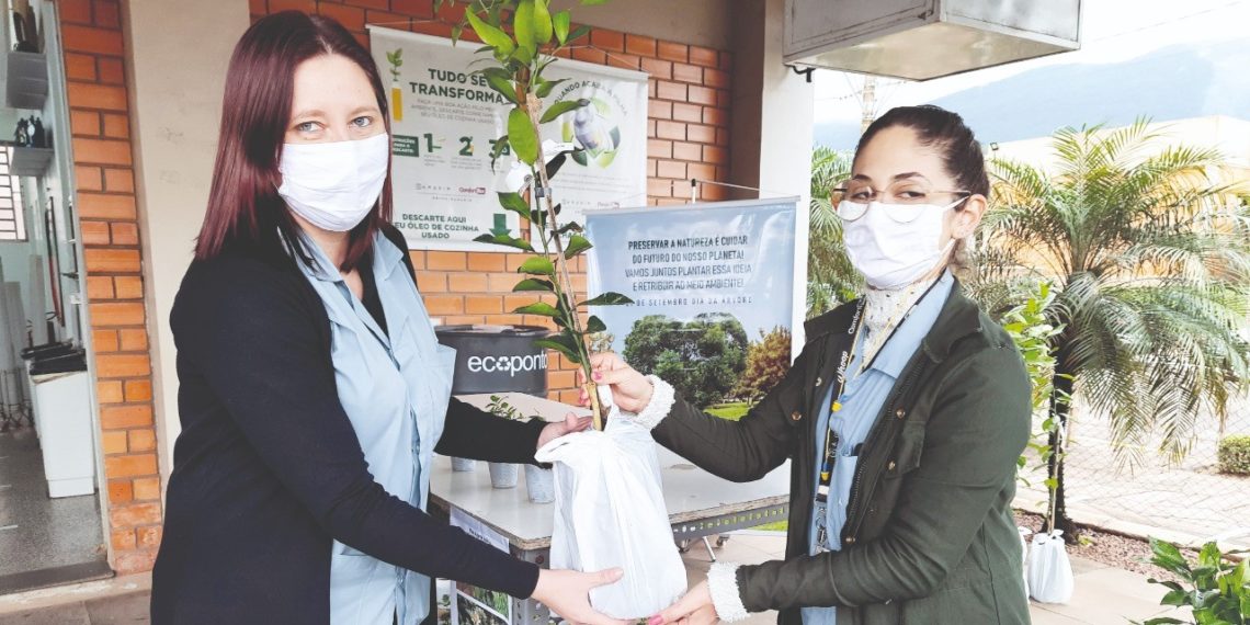 Dia da Árvore marcado pela distribuição de mudas na Ramarim