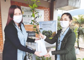 Dia da Árvore marcado pela distribuição de mudas na Ramarim