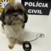 Polícia Civil resgata cachorrinha furtada em Sapiranga