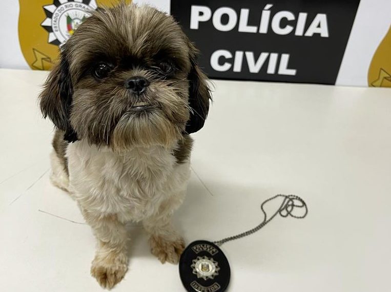 Polícia Civil resgata cachorrinha furtada em Sapiranga