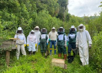 Curso de apicultura ensina o manejo correto de enxames no Cemeam de Sapiranga