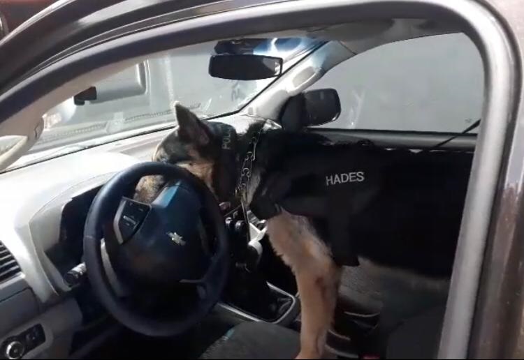 Polícia Civil de Sapiranga atuando forte no início do ano