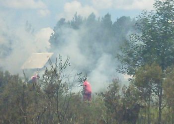Bombeiros combatem incêndio de vegetação em Araricá