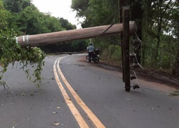 Temporal derruba postes e estrada que liga Campo Bom, Taquara e Lomba Grande está bloqueada