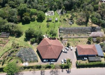 Cemeam oportunizará cursos gratuitos para a comunidade em Sapiranga