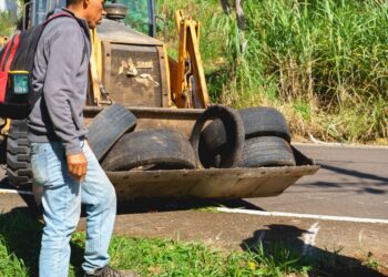 Campo Bom promove mutirão de combate à dengue