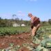 Agricultores de Campo Bom podem se inscrever para ter acesso a financiamento pelo Feaper