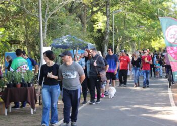Campo Bom tem final de semana repleto de ações para a comunidade