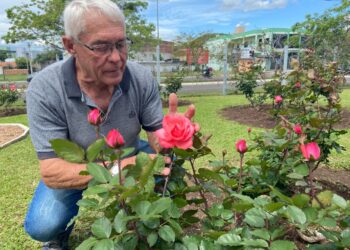 Parcão florido: Gilberto Lenhardt, o protetor das rosas