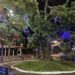 Vem aí mais um Encanto de Natal do Centenário em Sapiranga