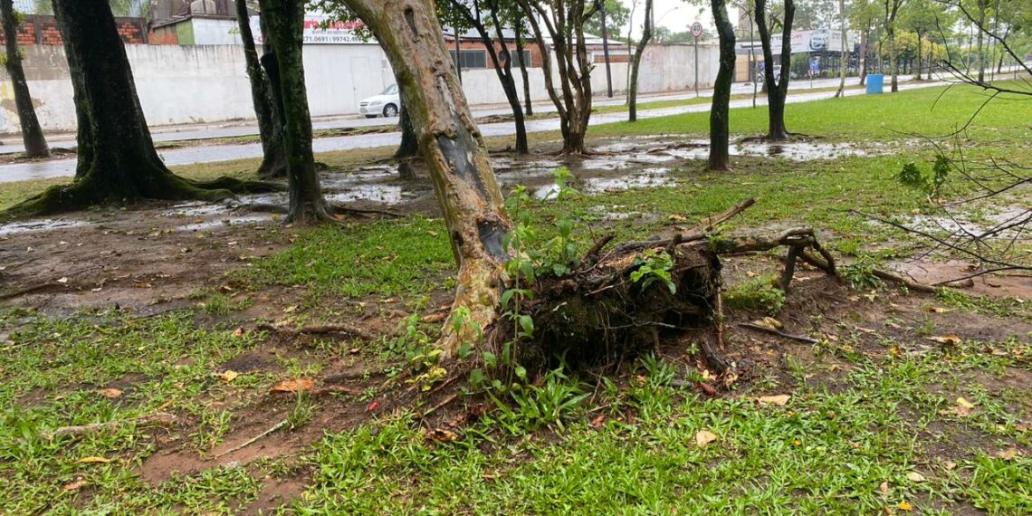 Chuva causa alagamentos e diversos transtornos em cidades da região