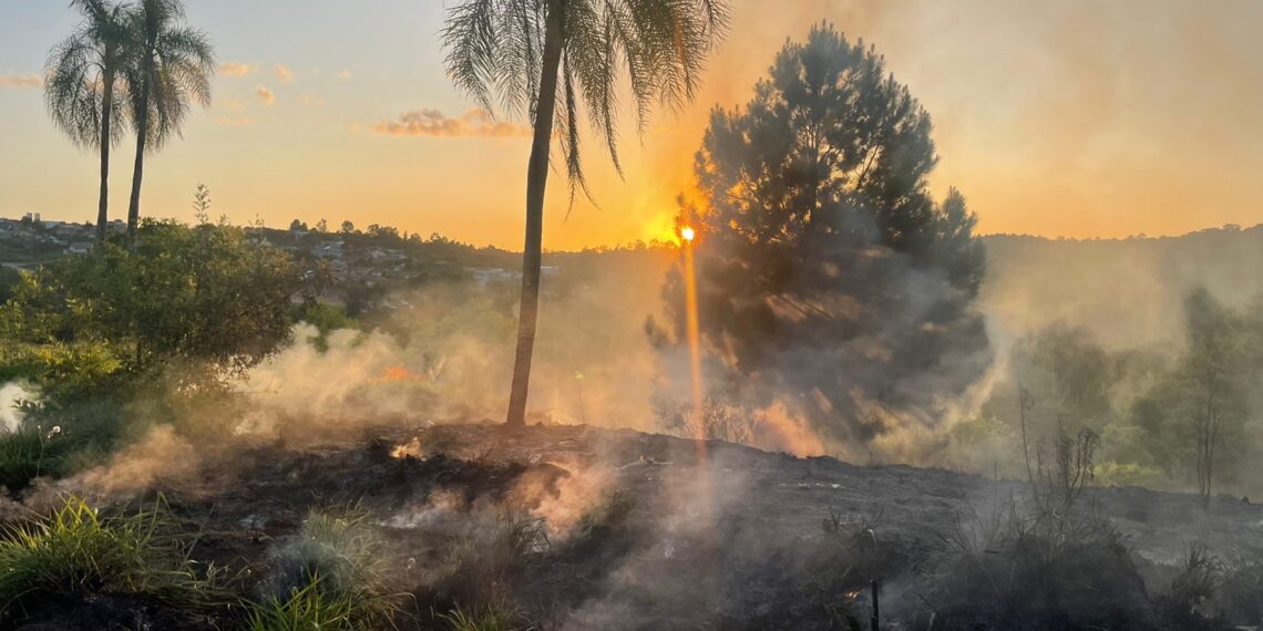 Área de mata é atingida por incêndio em Campo Bom