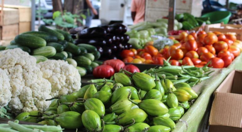 Feira da Agricultura Familiar de Nova Hartz acontece neste domingo