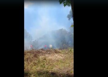 Bombeiros combatem mais um incêndio na mata em Sapiranga