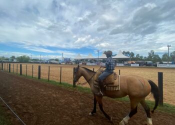 Sábado de provas e esportes campeiros no Rodeio Nacional de Campo Bom