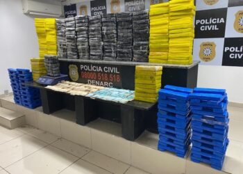 Golpe do tráfico: mais de 300 quilos de drogas apreendidas em sítio de Araricá (Fotos: Polícia Civil)