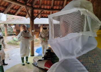 Curso de apicultura em andamento no Cemeam de Sapiranga
