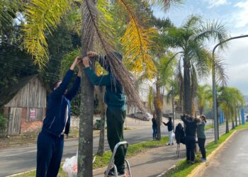 Orquídea Amor e Valor movimenta voluntários na manhã de sábado em Campo Bom