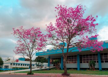 Prefeitura de Campo Bom terá ampliação no atendimento