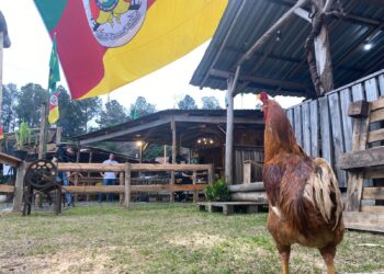 #Projeto Farroupilha: confira a programação e alguns “atrativos” do Parque do Imigrante
