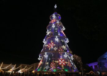 Árvore-símbolo do Natal no Estado será acesa na noite 
desta sexta-feira  
(Foto: PMDI)