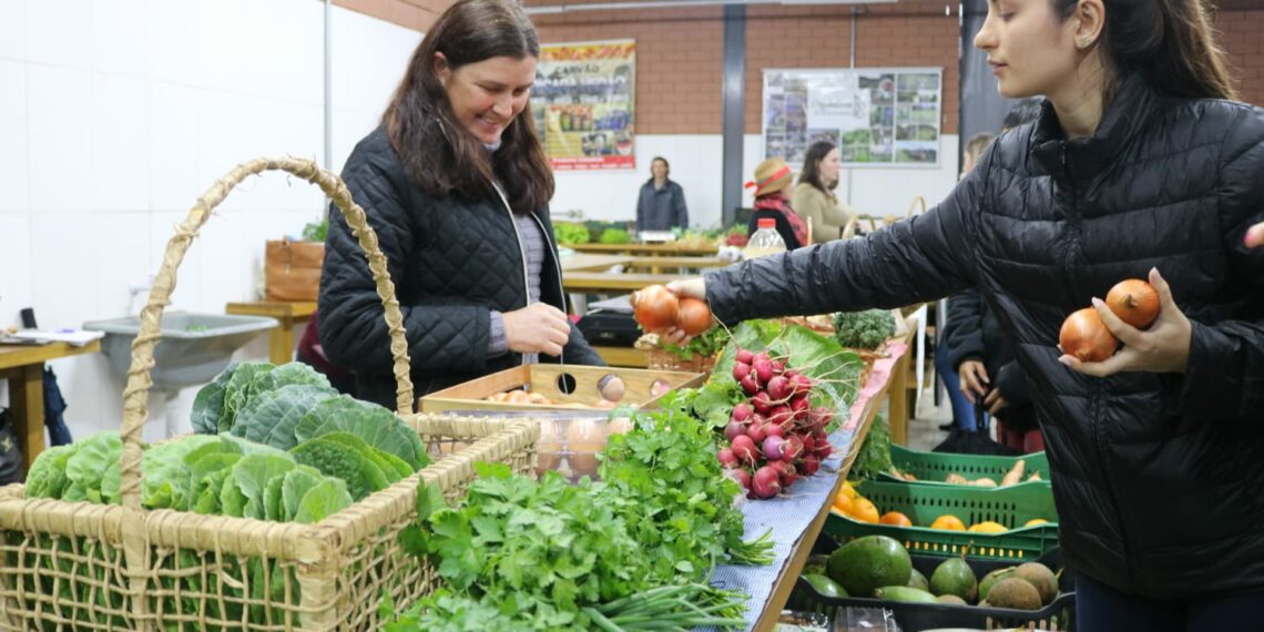Produtores em destaque: Conheça os responsáveis pela qualidade na Feira de Orgânicos