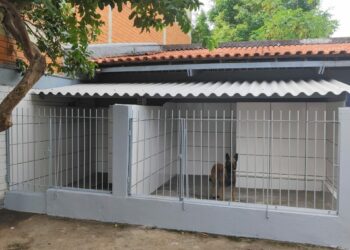 Canil da delegacia de Polícia Civil de Campo Bom recebe reforma