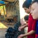 Cempra de Sapiranga recebe visita de estudantes para orientação com o bem-estar animal